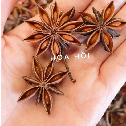 Hoa hồi/ đại hồi chuẩn hồi mộc 150gr