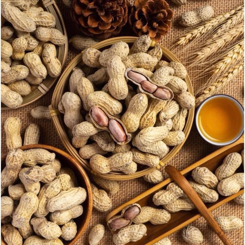1Kg Lạc Củ Tầm Vị, Lạc Rang Nguyên Vỏ Tẩm Vị , Đậu Phộng Nguyên Vỏ Rang Chín Tẩm Vị