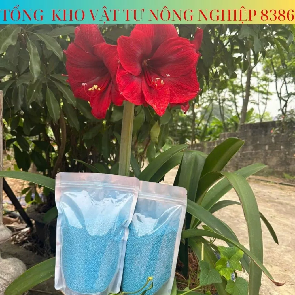 [5kg]Phân Bón Đầu Trâu 13-13-13+TE, Bón Cho Các Loại Cây Ăn Trái, Hoa Cây Cảnh, Rau Màu(Tặng thuốc kích dễ khi mua 5kg)