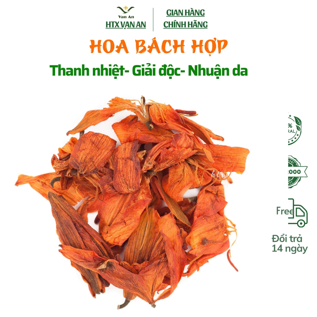 Hoa Bách Hợp sấy, giảm ho, thanh nhiệt cơ thể, giải độc, mát gan..........