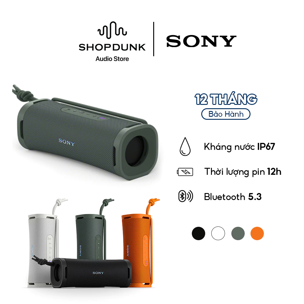Loa Bluetooth Sony ULT Field 1