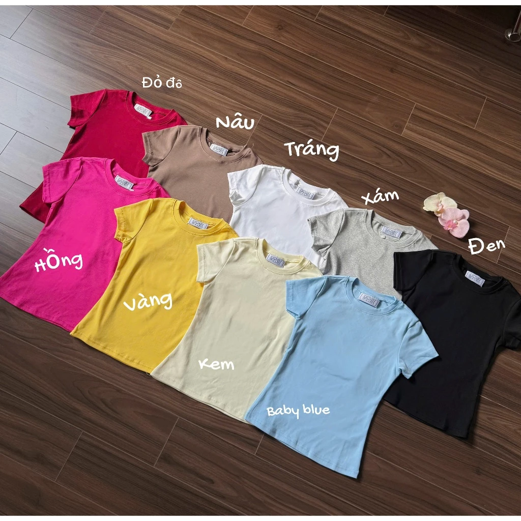 [DEAL XẢ KHO] AB HOUSE - Áo thun ôm body cotton co giãn thời trang nữ