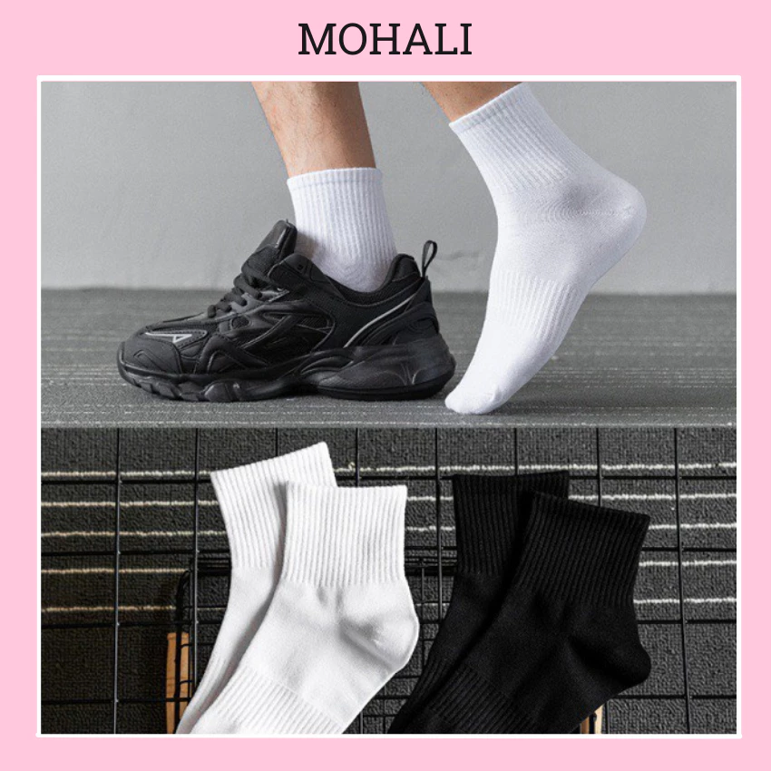 Set 5 đôi tất vớ DÀY DẶN cổ cao trơn dệt kim cotton kháng khuẩn thấm hút mồ hôi tốt MOHALI VC010