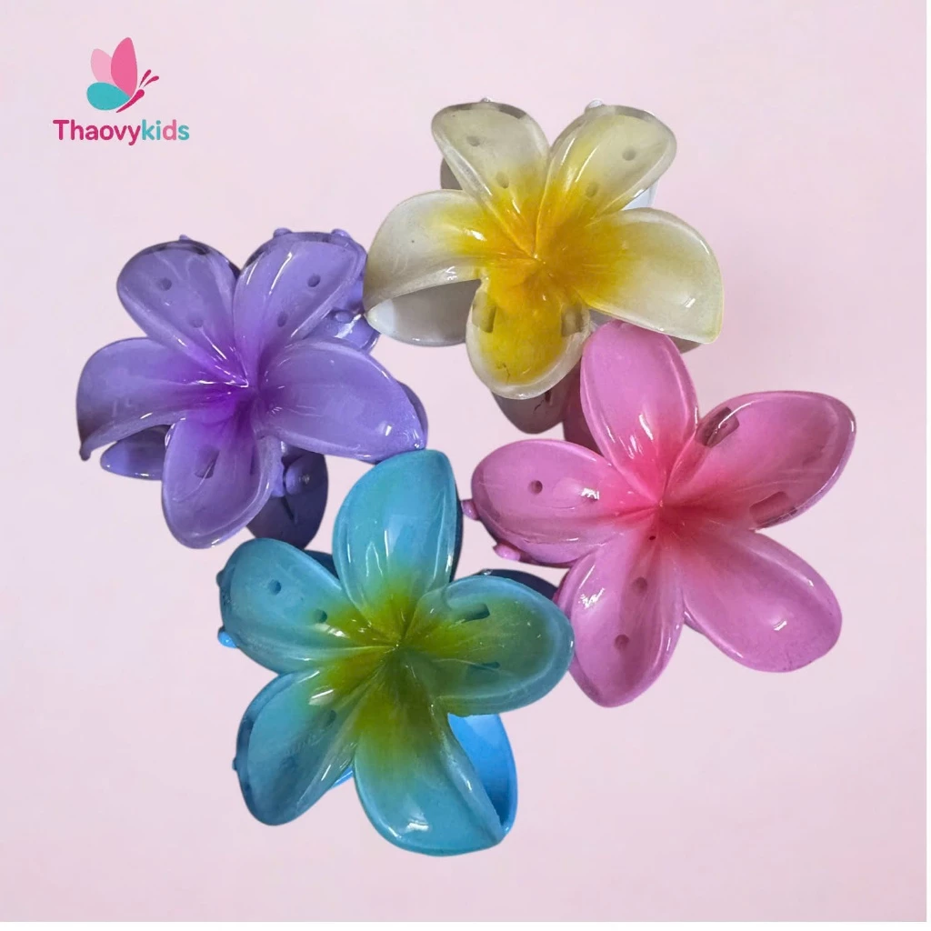 Kẹp tóc siêu xinh -Thaovy kids