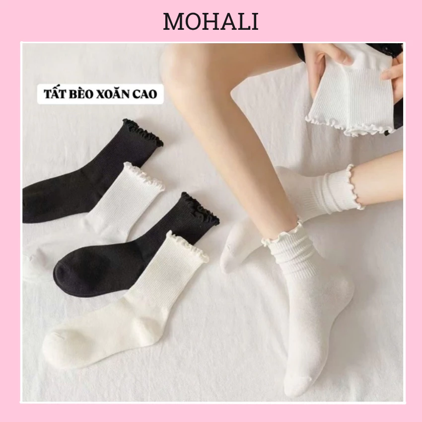 Set 10 đôi tất vớ cao cổ bèo trơn mịn chất cotton kháng khuẩn thấm hút mồ hôi tốt MOHALISOCKS SVC060
