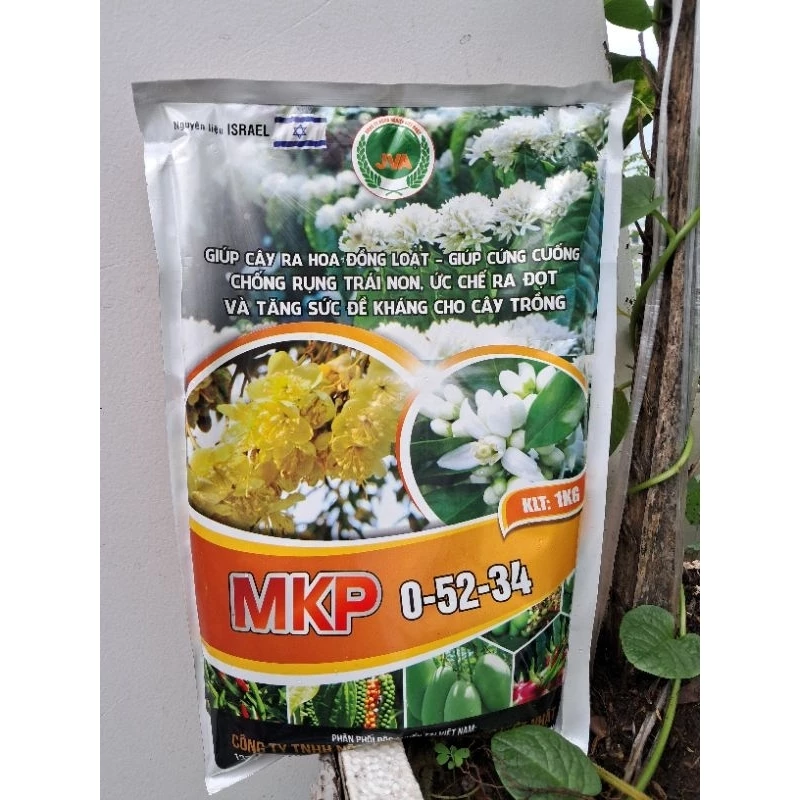 MKP 0-52-34 cây ra hoa đồng loạt chống rụng trái cung cấp dinh dưỡng JVA NongNghiepVietNhat