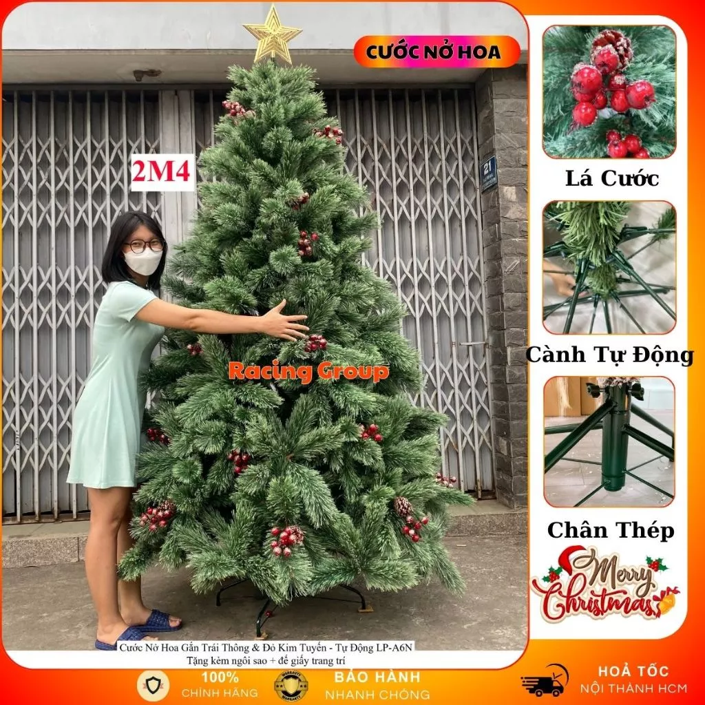 Cây Thông Noel A6 Cước Nở Hoa Gắn Trái Đỏ Mẫu 2025 1m2 - 3m6 Trang Trí Giáng Sinh Công Ty , Khách Sạn