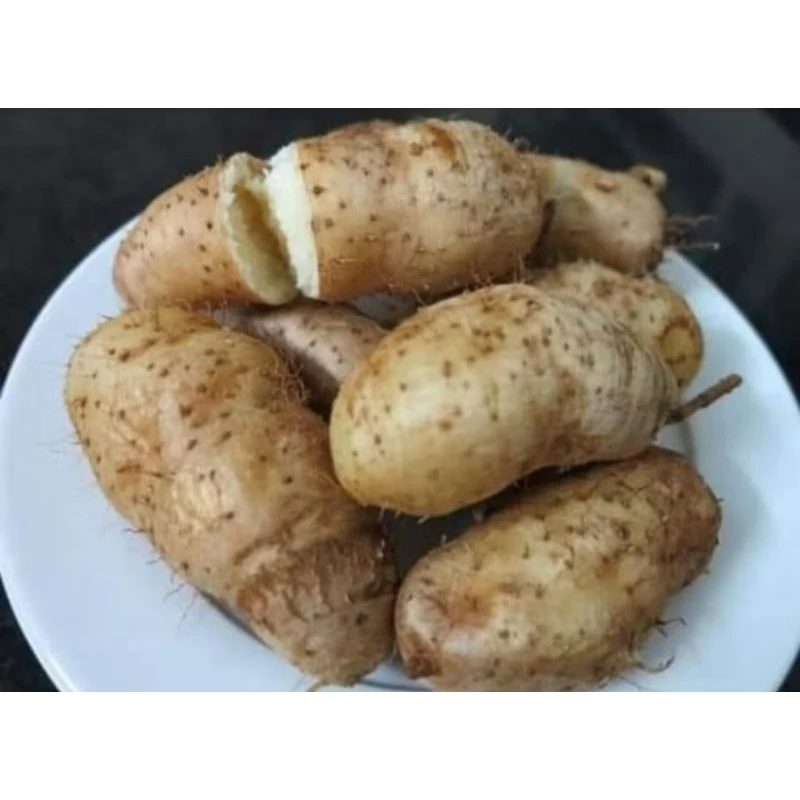 vn 11134207 7ras8 m1u1lsf7waj7c8