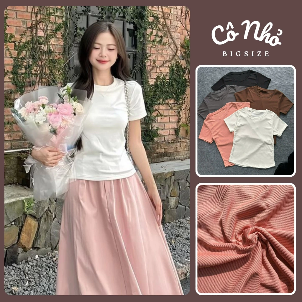 Áo Thun Baby Tee Bigsize Nữ Tay Ngắn Cổ Tròn Vải Tăm Co Giãn Phong Cách Basic Cho Chubby 50-95kg G244