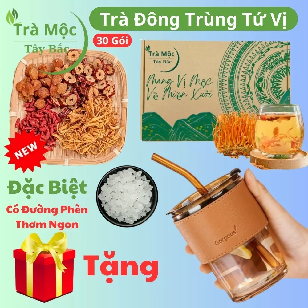 Trà đông trùng 4 vị thảo mộc (30 Gói Kèm Chai HOẶC Cốc Da) đẹp da, chống lão hoá, dễ ngủ , Thanh Nhiệt tứ vị