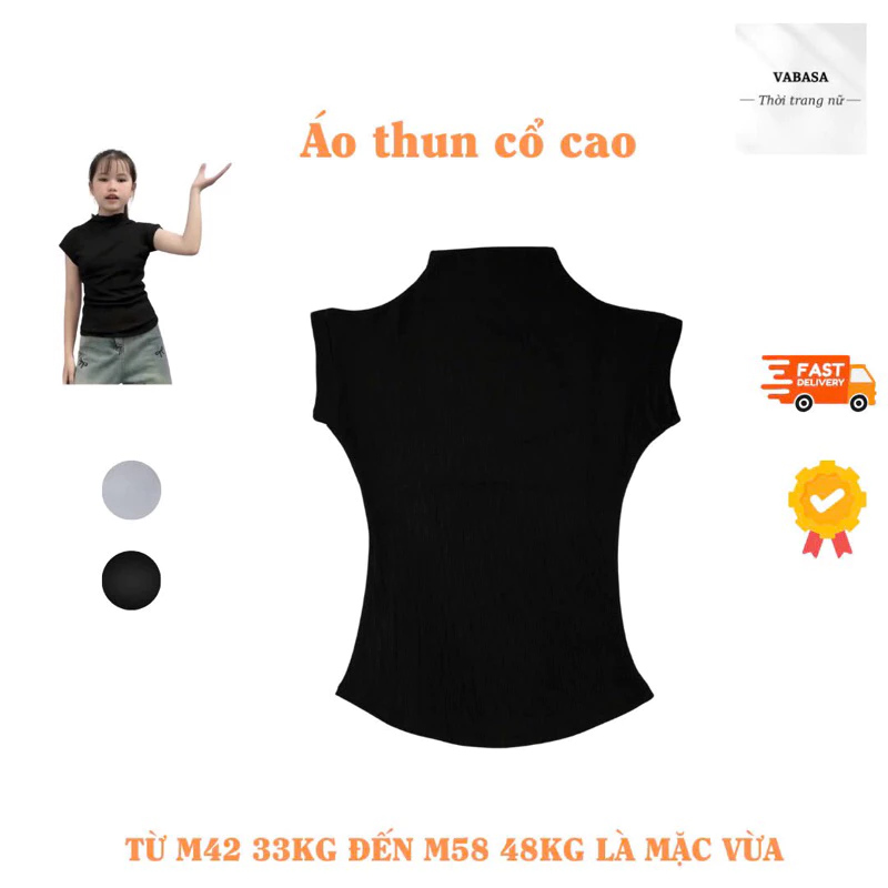 Áo thun nữ trơn cổ cao chất tăm lạnh co dãn 4 chiều ( 3 màu )