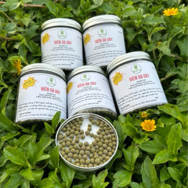 Viên Dạ Dày Đông Y Gia Truyền 120g