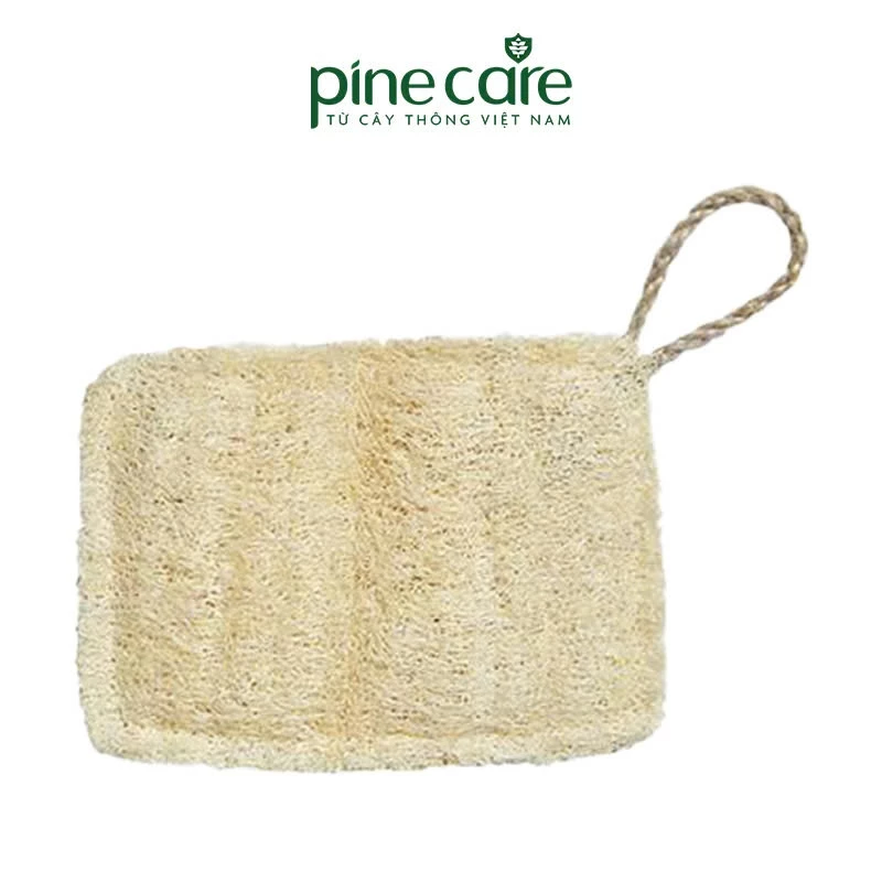 Xơ Mướp Rửa Bát PineCare Tự Nhiên, Làm Sạch An Toàn Cho Chén Đĩa