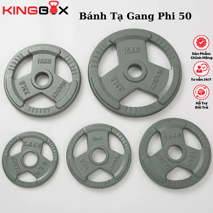 Bánh Tạ Đĩa Gang Phủ Sơn Sấy Phi 50mm - 2.5KG - 5KG Và 10KG / 1 Bánh - Kingbox ( Hàng Nhập Khẩu)
