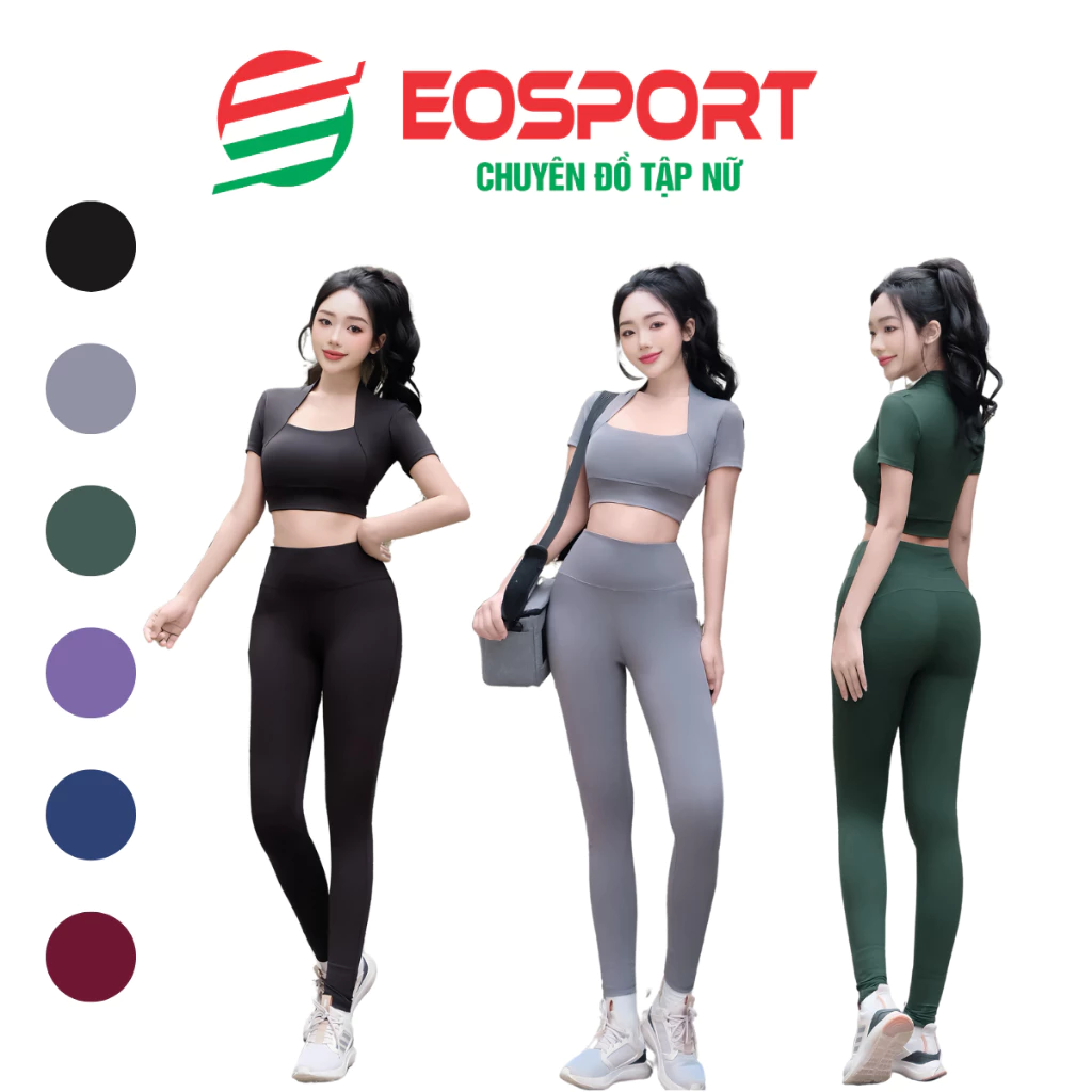 Quần Áo Tập Gym Nữ Cao Cấp, Bộ Tập Gym Yoga Aerobic Nữ Có Tay Chất Đẹp Bgm365 (D01)
