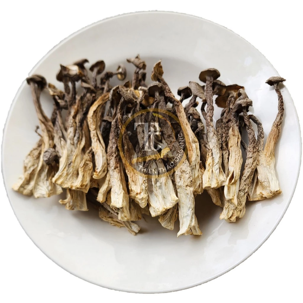 1kg Nấm Lộc Nhung loại 1 nguyên cây Thiên Thảo Organic