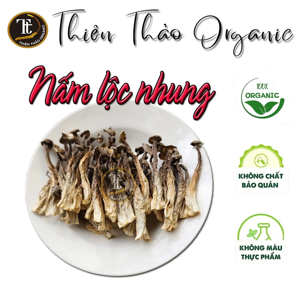 100g Nấm Lộc Nhung loại 1 nguyên cây Thiên Thảo Organic