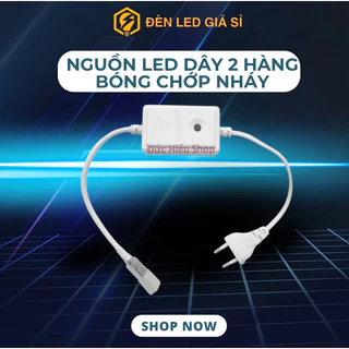 Nguồn LED dây 2 hàng bóng CHỚP NHÁY