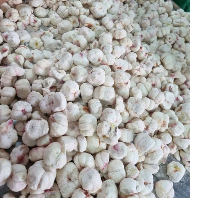 Măng Cụt Sấy Giòn , Công Nghệ Sấy Thăng Hoa