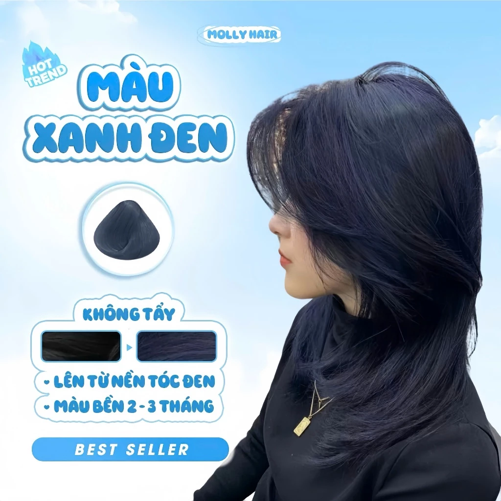 Thuốc Nhuộm Tóc Màu XANH ĐEN, KHÔNG TẨY - MOLLY HAIR