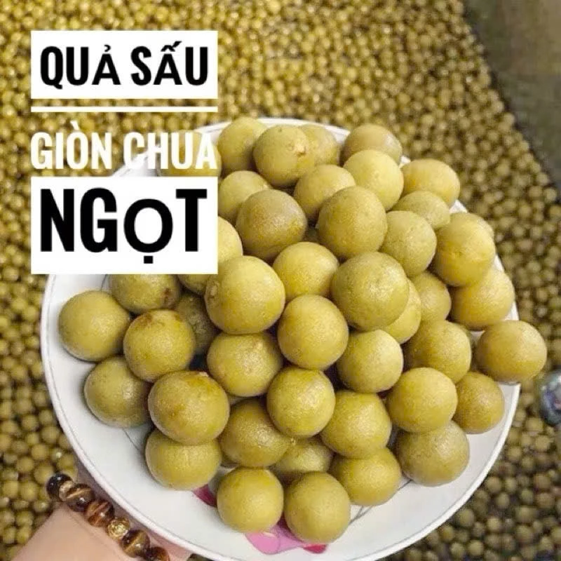 (Giòn Ít Ngọt)500g Ômai Sấu Tươi Giòn Chua Cay Đặc Sản Hà Nội(Kèm Muối Chấm)