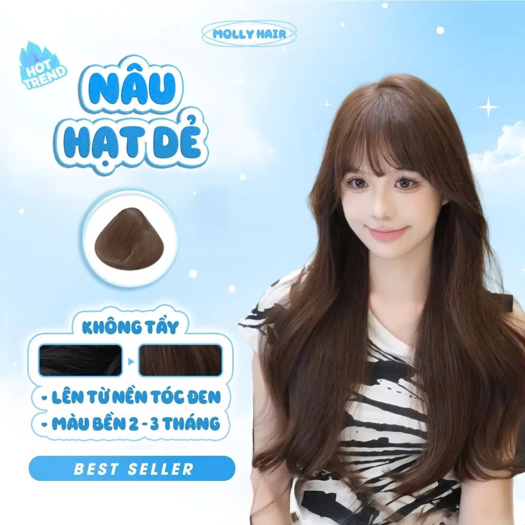 Thuốc Nhuộm Tóc Màu NÂU HẠT DẺ, KHÔNG TẨY - MOLLY HAIR
