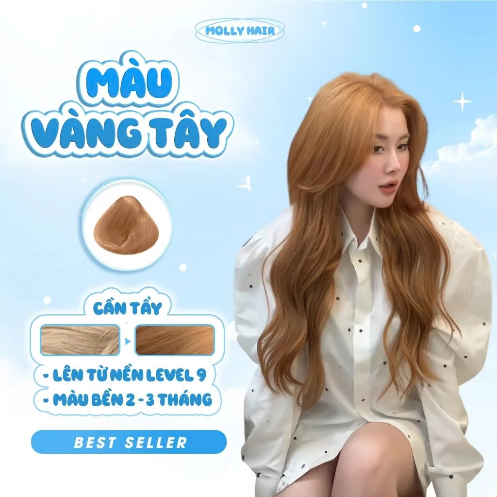 Thuốc Nhuộm Tóc Màu VÀNG TÂY, CẦN TẨY - MOLLY HAIR