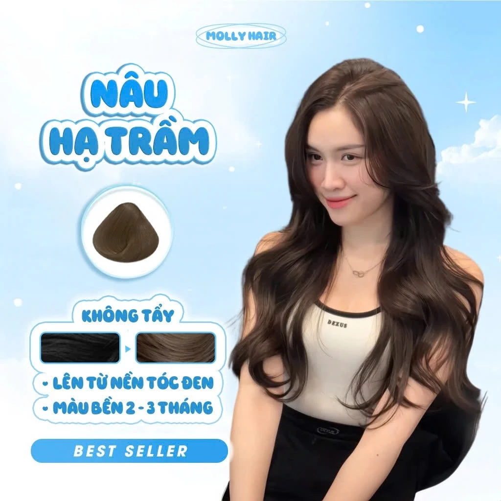 Thuốc Nhuộm Tóc Màu HẠ TRẦM, KHÔNG TẨY - MOLLY HAIR