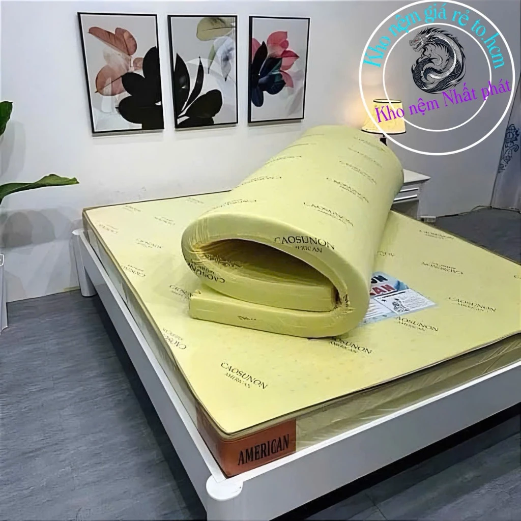 NỆM ĐỦ KÍCH THƯỚC(TẶNG 2 GỐI HỎA TỐC TP.HCM)