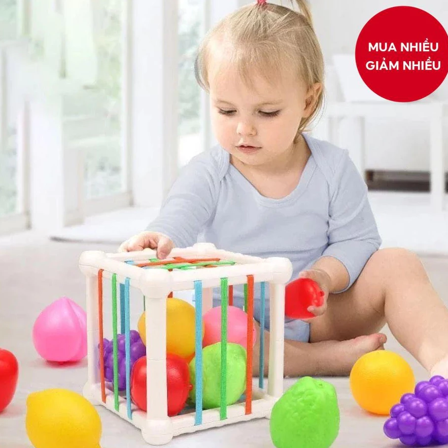 [Kho sỉ] Đồ chơi cảm giác cho bé Montessori Đồ chơi phân loại hình khối đồ chơi trẻ em với trái cây đầy màu sắc Hoạt đ