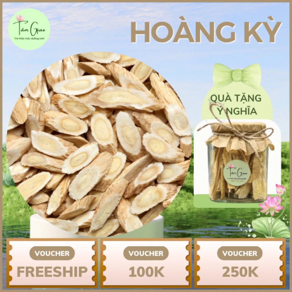 [TÂM GIAO] Hoàng kỳ Bổ khí, tăng cường sức đề kháng, Chống mệt mỏi, phục hồi sức khỏe,Lợi tiểu, giảm phù nề
