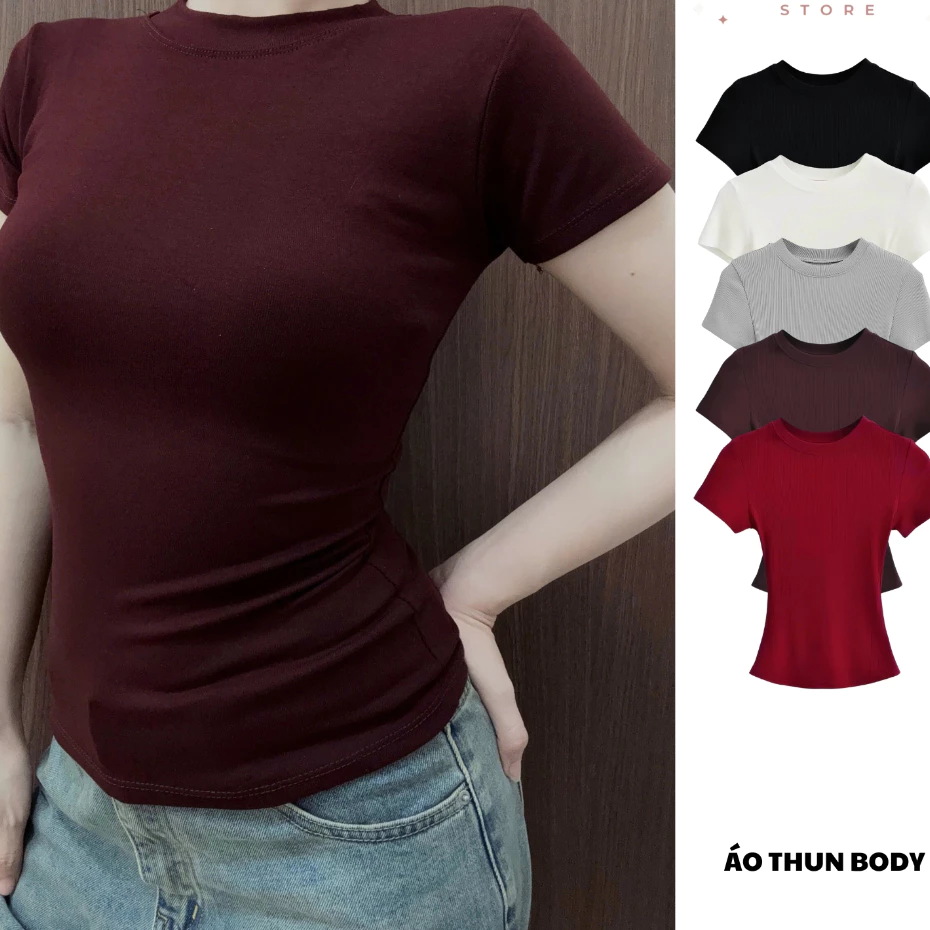 Áo Thun Nữ Ôm Body Cổ Tròn Cotton Tăm Nhuyễn  Mềm Mịn Mát - Kenco Brand Sài Gòn M208