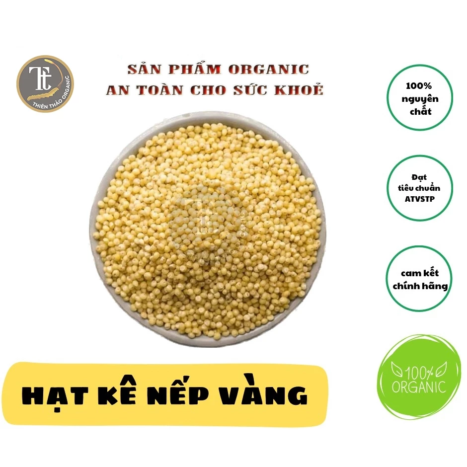 500g Hạt kê nếp vàng thuần chủng đã tách vỏ thơm ngon tự nhiên nhiều dinh dưỡng, chất xơ, protein Thiên Thảo Organic