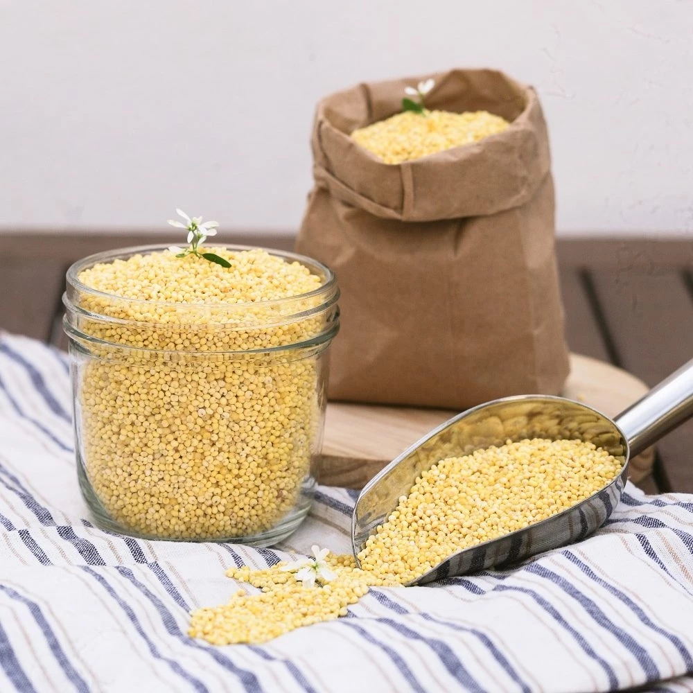 1kg Hạt kê nếp vàng thuần chủng đã tách vỏ thơm ngon tự nhiên nhiều dinh dưỡng, protein, Thiên Thảo Organic