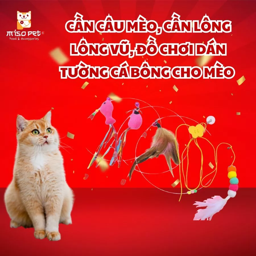 Cần câu mèo lông vũ, cần câu giúp mèo thư giãn giảm stress  - MisoPet