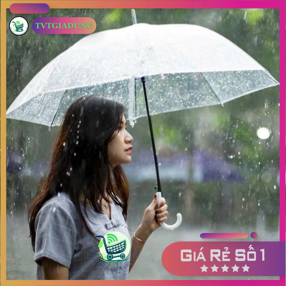 Ô Dù Trong Suốt Đi Mưa Gấp Gọn Phong Cách Hàn Quốc