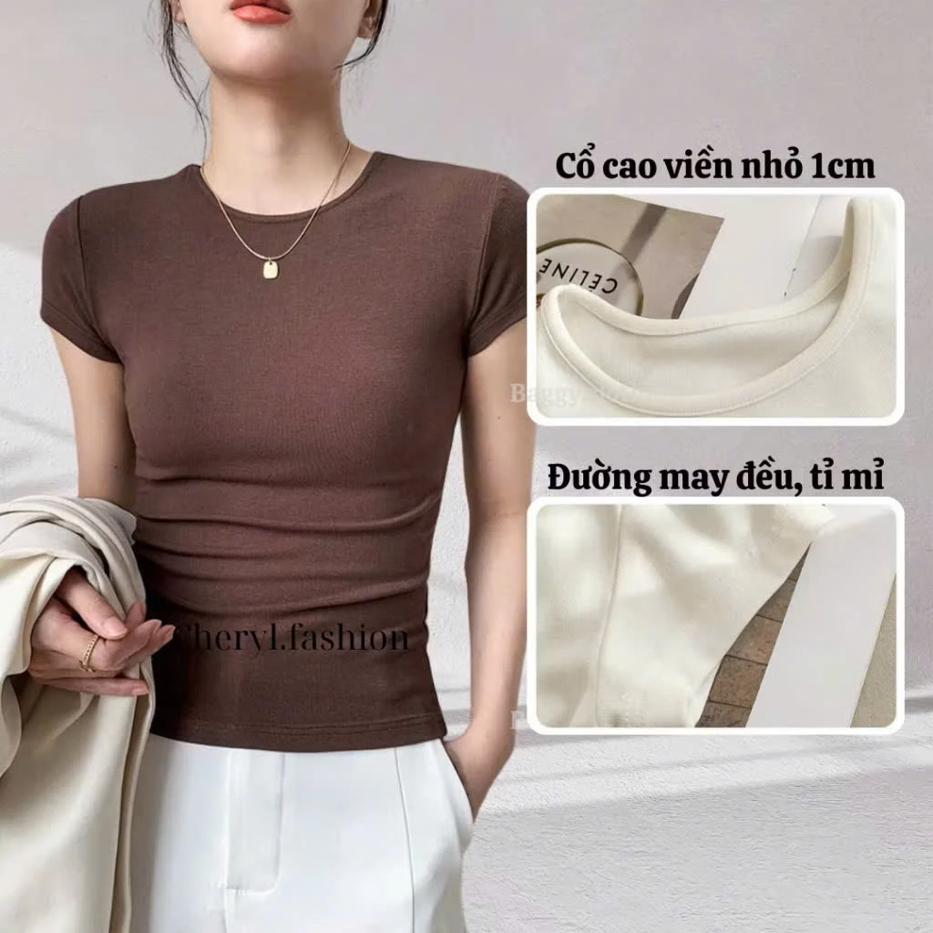 Áo Thun Nữ Cổ Tròn Tay Ngắn Bo Viền – Form Ôm Body Basic Nhiều Màu Free size 40–58kg