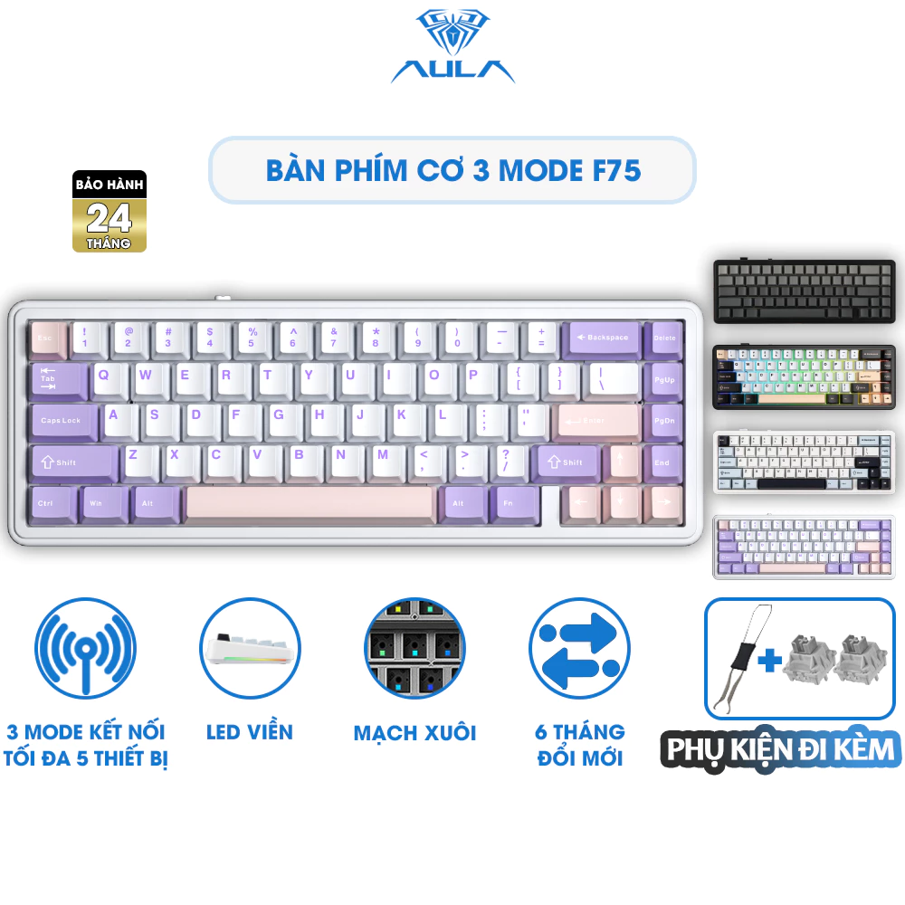 Bàn Phím Cơ 3 Mode AULA F65 Không Dây Bluetooth Layout 65% Gasket Mount Hotswap Led RBG Chính Hãng