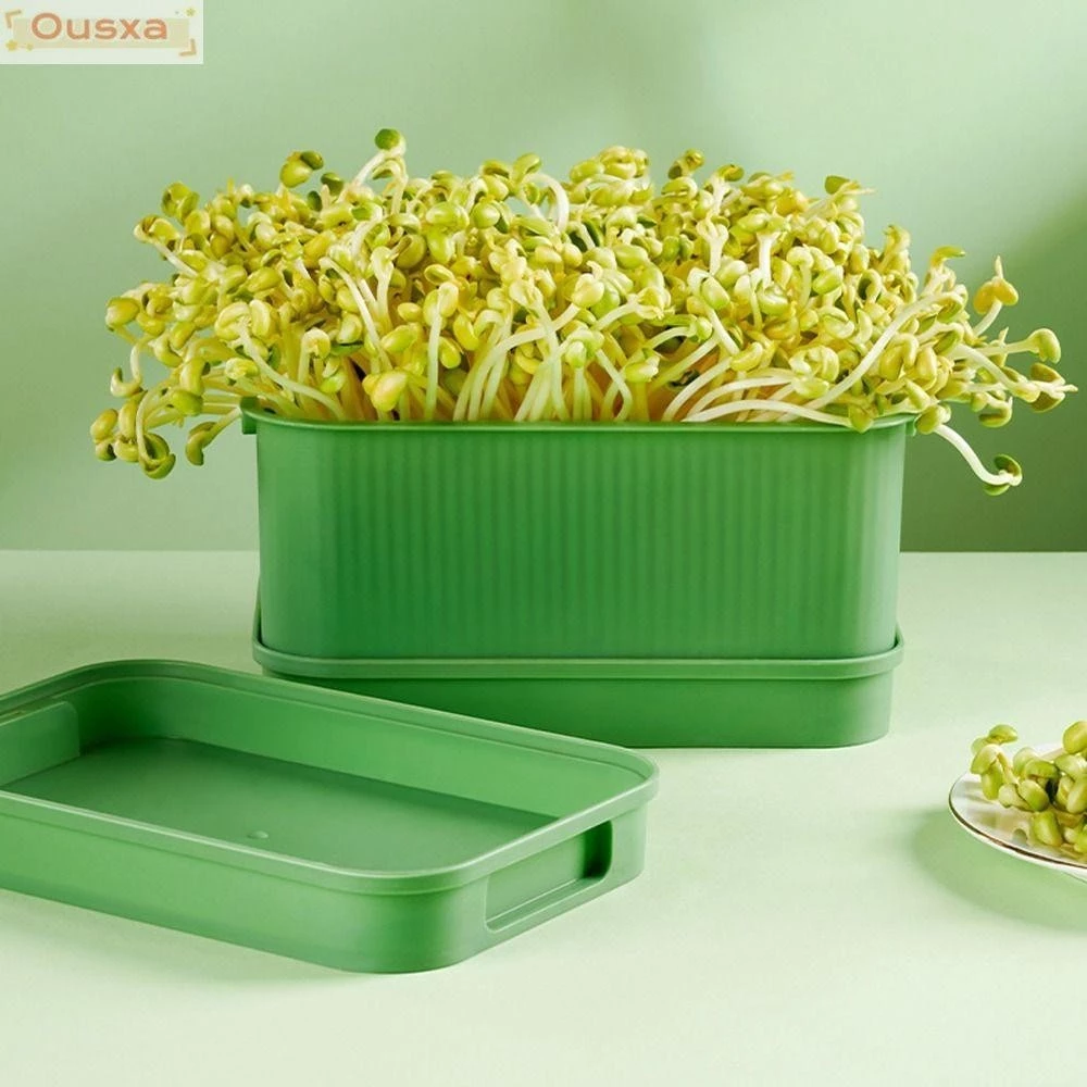 Khay trồng mầm giá đỗ , Dụng cụ trồng trọt không đất nảy mầm thủy canh, Khay trợ giúp trồng mầm tái sử dụng cho gia đình