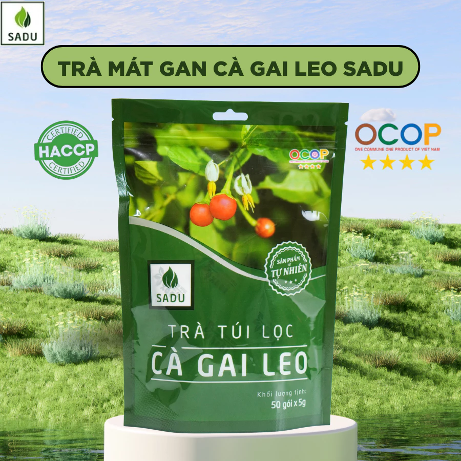 Trà Mát Gan Cà Gai Leo Túi Lọc SaDu- Hỗ Trợ Mát Gan, Nóng Trong , Nổi Mụn, Giải Rượu