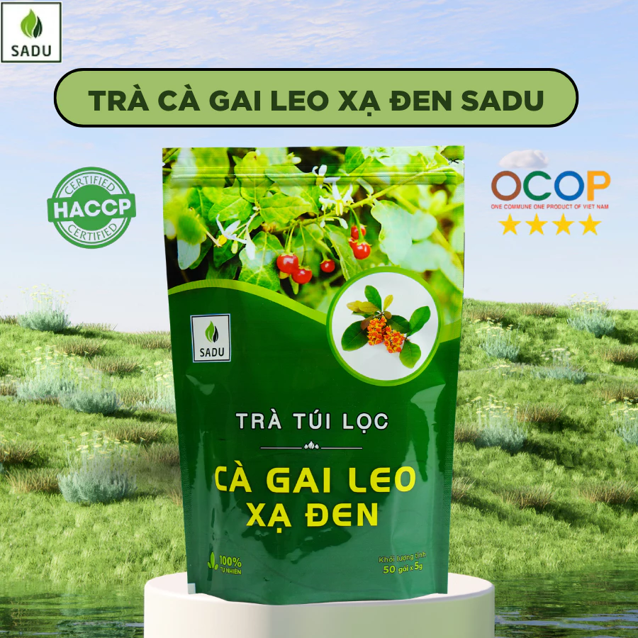Trà Túi Lọc Xạ Đen Cà Gai Leo SaDu- Cà Gai Leo Xạ Đen Phù Hợp Cho Người Nóng Trong, 1kg