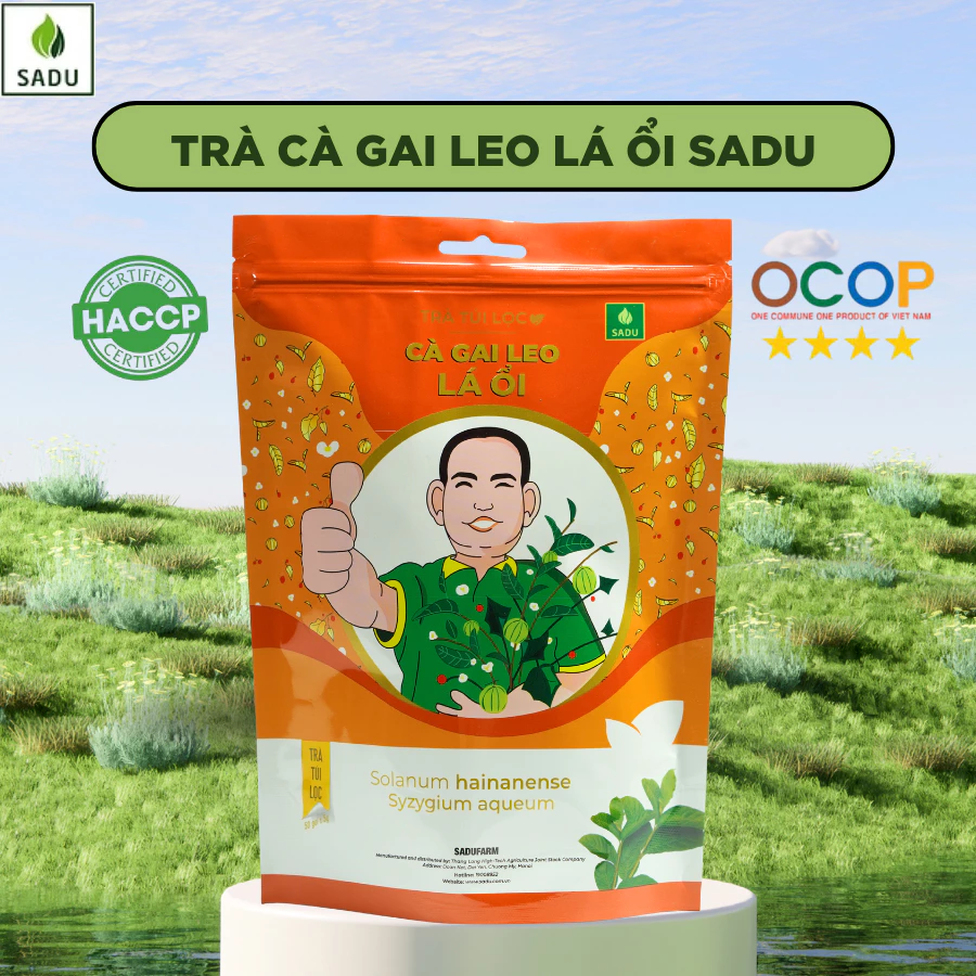 Trà Túi Lọc Cà Gai Leo Lá Ổi SaDu- Phù Hợp Cho Người Kiêng Đường, Ăn Kiêng