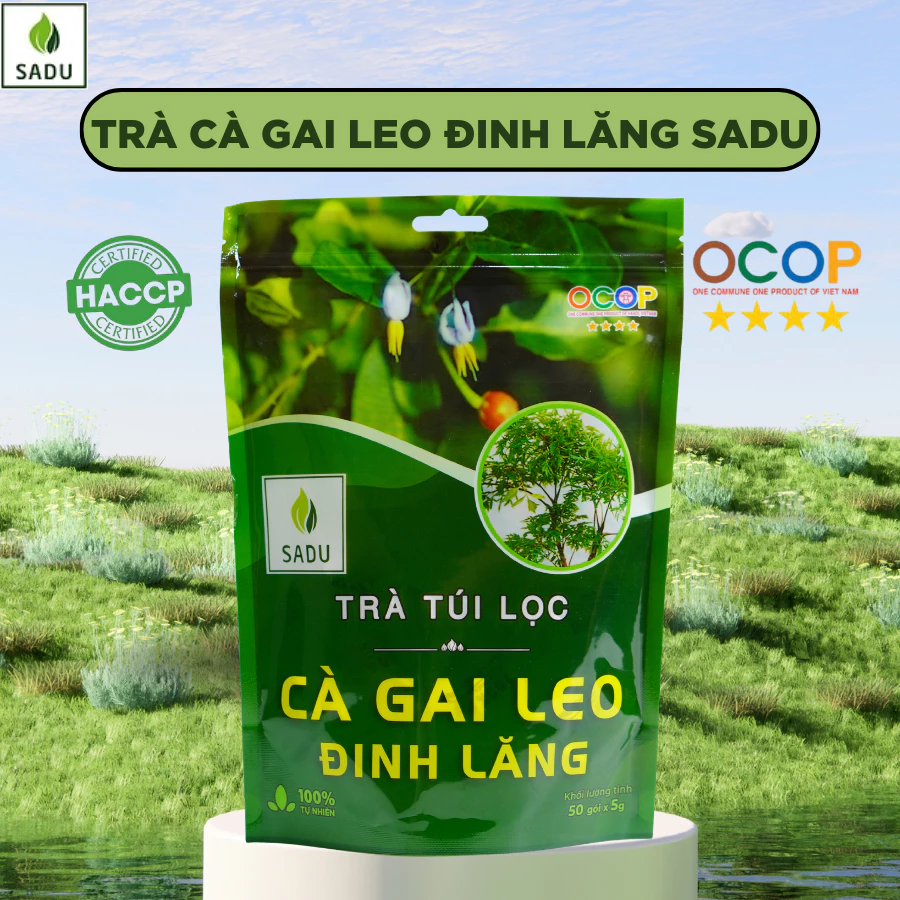 Trà Túi Lọc Cà Gai Leo Đinh Lăng Sadu 250gr - Thư Giãnn Tinh Thần, Hỗ Trợ Tuần Hoàn