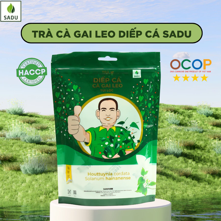 Trà túi lọc cà gai leo diếp cá Sadu gói 250g thanh nhiệt,đẹp da,bảo vệ lá gan,tăng cường chức năng gan
