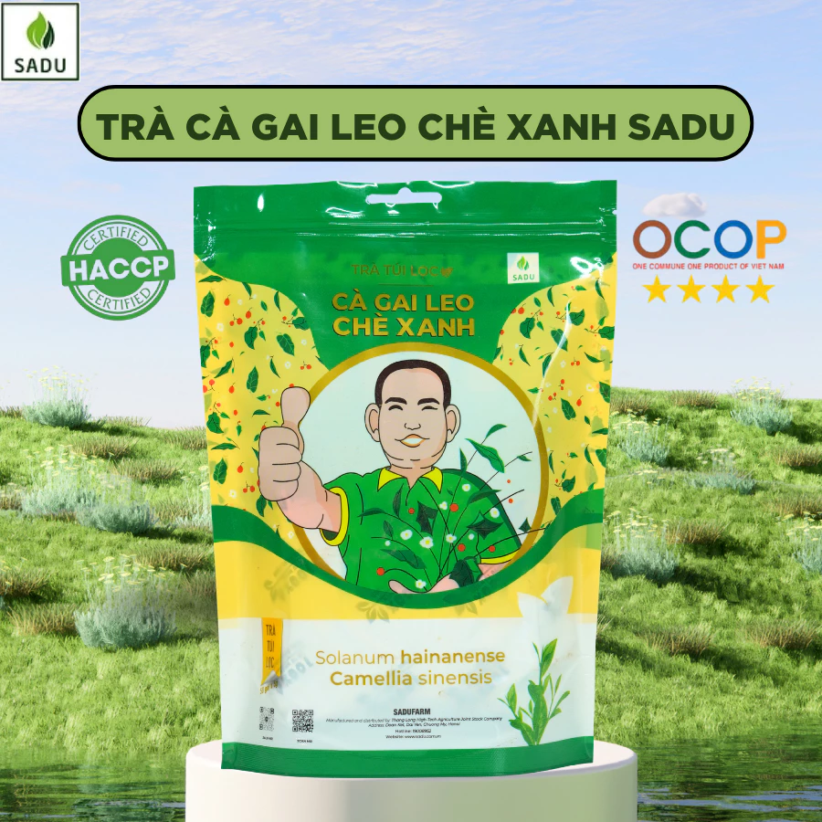 Trà Cà Gai Leo Chè Xanh SaDu- Phù Hợp Cho Người Mất Tập Trung, Uể Oải, Nóng Trong