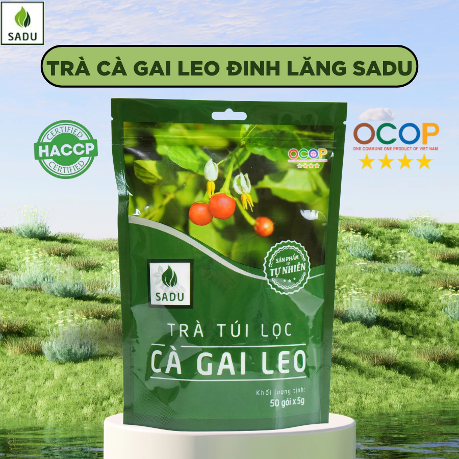 Trà Thảo Mộc Cà Gai Leo Túi Lọc SaDu - Thanh Mát,Phù Hợp Cho Người Nóng Gan Gói 250gram