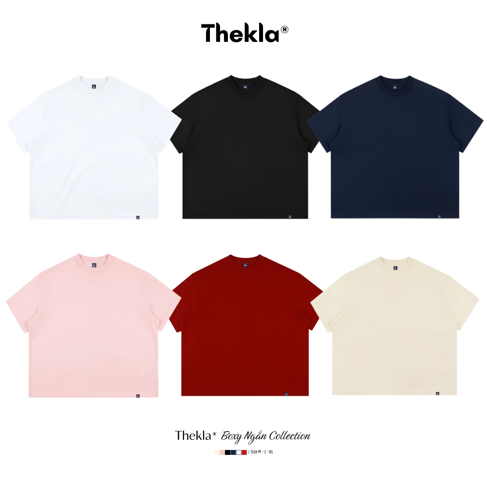 Áo Thun Form Boxy BST153 Trơn THEKLA - Áo Phông Cotton 2 Chiều Dày Dặn Đứng Form