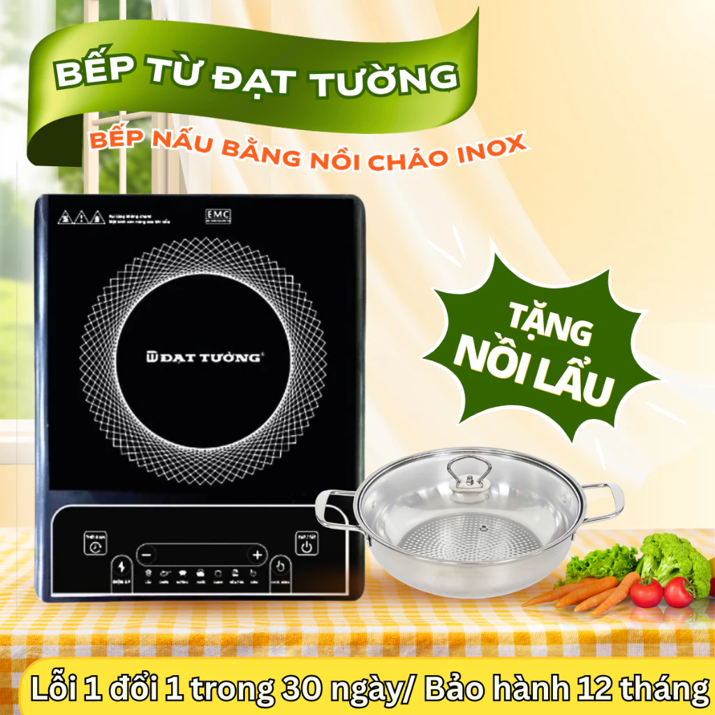Bếp từ Đạt Tường công suất 2000W tặng kèm nồi Inox, bếp điện 8 chế độ nấu tiết kiệm điện bảo hành12T