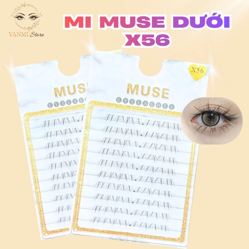 Mi Muse X56, mi dưới ứng dụng mọi Layout, mi rời 10 hàng Hot trend - Vanmi Store