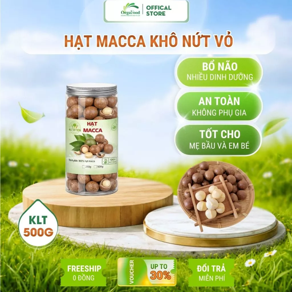 Hạt macca nứt vỏ Daklak organic 500g macca tươi size 25-28 mm tặng kèm đồ khui hạt Orgafood
